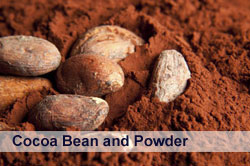 Cocoa-Bean-and-Powder